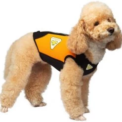 Cressi Dog Wetsuit 3mm